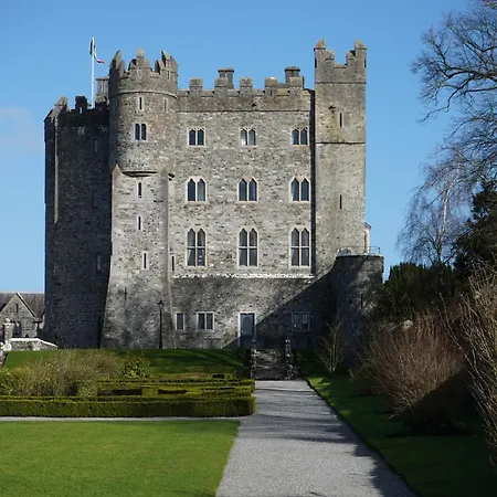 Castle 度假村 Kilkea