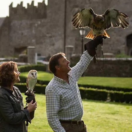 Castle 度假村 Kilkea